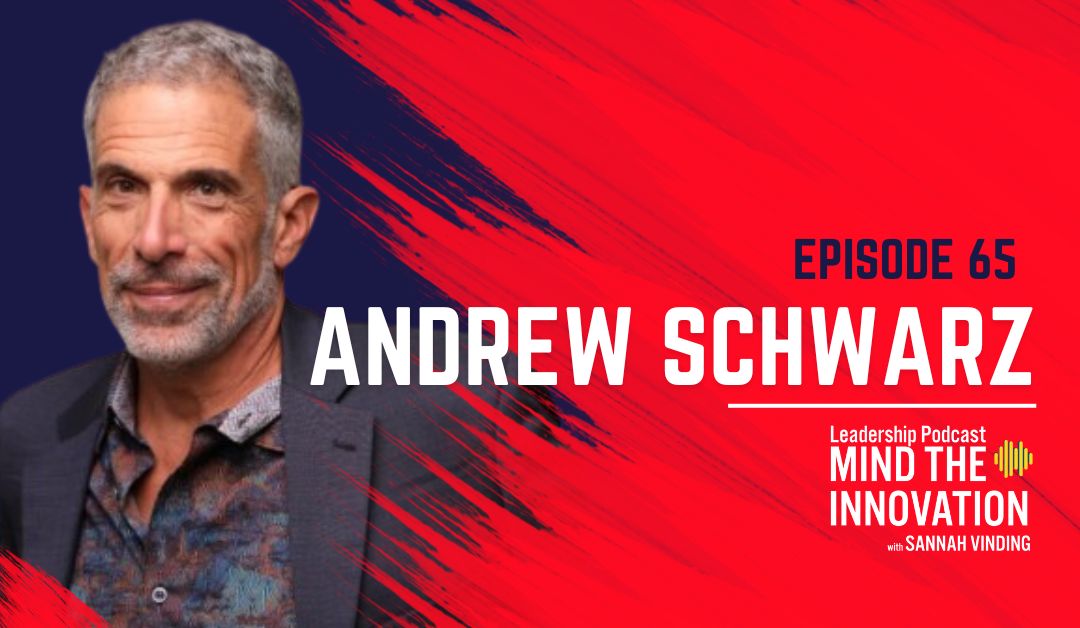 Harnessing the Power of Digital Transformation in the Manufacturing Industry – Andrew Schwarz – Episode 65 - Sannah VInding